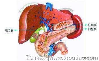 肝癌有哪些典型症状？肝病早发现 病理原因分析一览