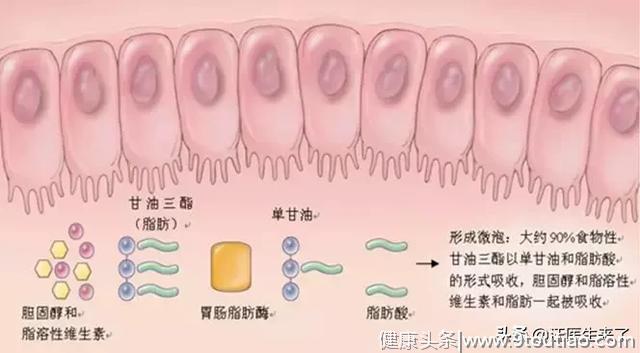 减肥降体脂？真相！这些减肥药都是禁用品！