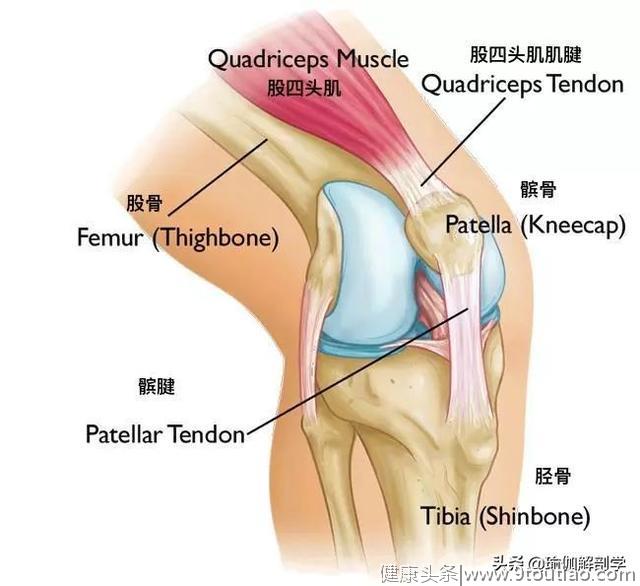 初学者练瑜伽，保护膝盖的5大原则一定要掌握！