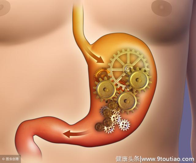 肉冻（明胶）有八大健康益处！好吃又平易，养生好帮手。