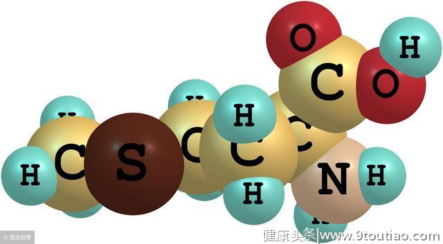 肉冻（明胶）有八大健康益处！好吃又平易，养生好帮手。