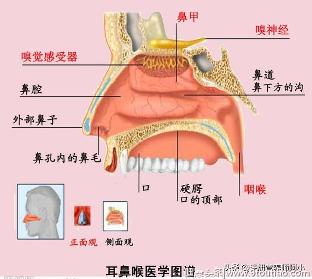 儿童过敏性鼻炎不能治愈？只要关注这一点，让孩子远离鼻炎之痛