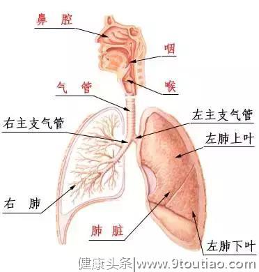 得了哮喘，吃药比吃饭重要