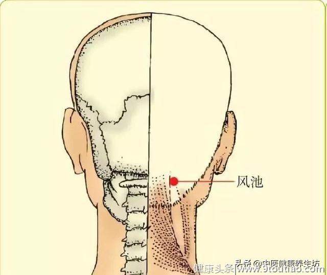 按这七个穴位、赶走烦人的鼻炎！早知道早好！