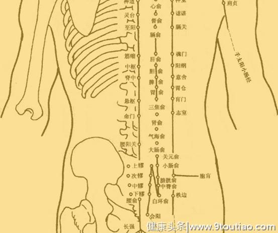 89岁中医：腰突太难缠？蜂蜜+桑葚，腰痛腿疼慢慢好了（纯科普）