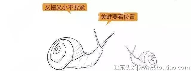 漫画详解子宫肌瘤是个啥？