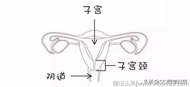 国家癌症中心柳叶刀发文：中国宫颈癌预防有三大挑战