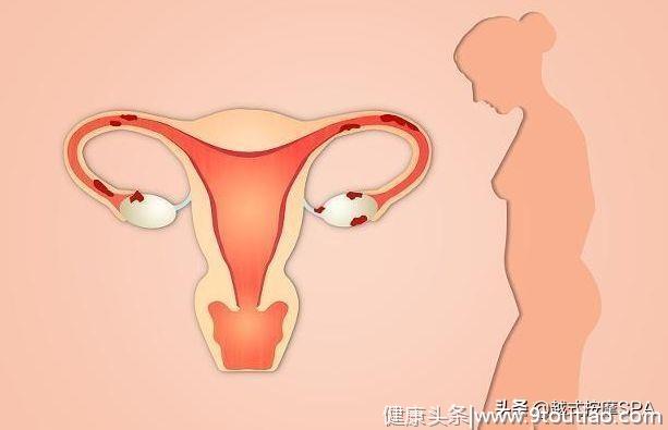 备孕第二个月就怀孕了，羡慕吗？其实做好3件事，“好孕”悄悄来