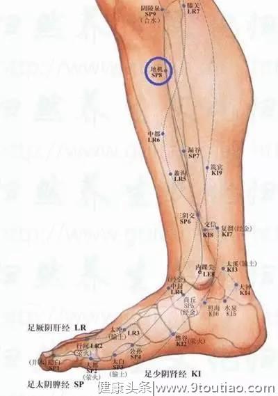 把脾经上的几个大穴走顺了，祛除百病，永葆健康！