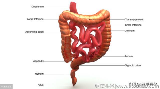 听说过小肠癌吗？身体有这4个“提醒”，你就要提高警惕