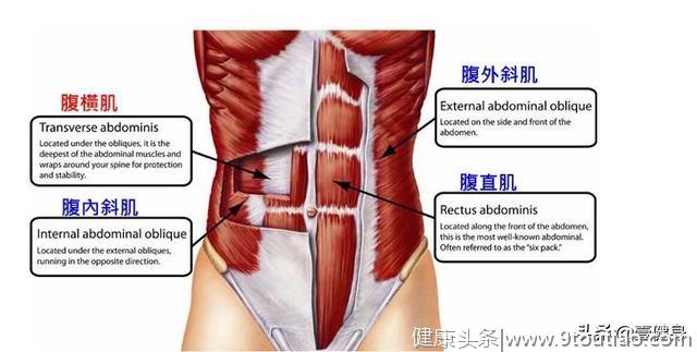 谁说只有瘦子才有腹肌？这五个动作，让你2周轰炸出8块完美腹肌！