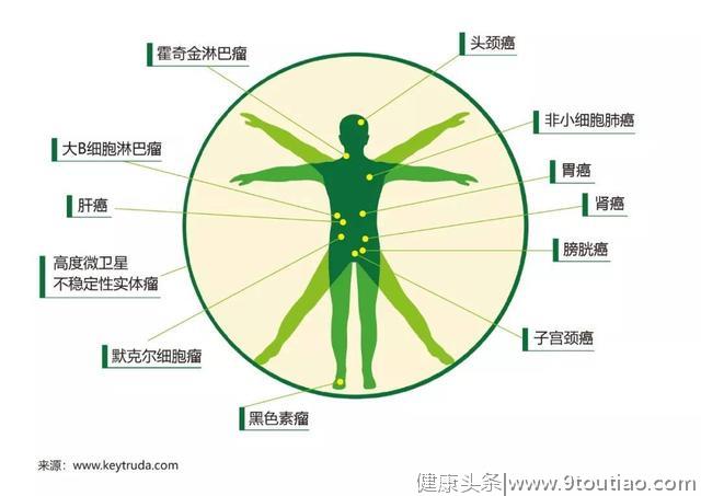 重磅！Keytruda（K药）在中国大陆获批肺癌一线联合治疗！