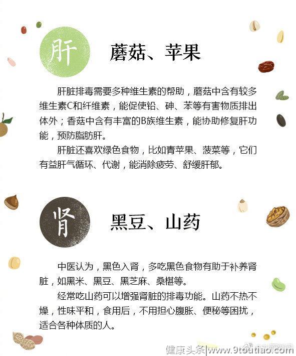 身体各器官最爱“食谱”请收好