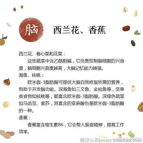 身体各器官最爱“食谱”请收好