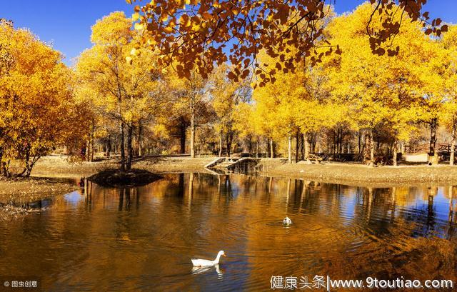 心理测试：你最喜欢哪处美景，测出你的一生是坎坷还是顺遂