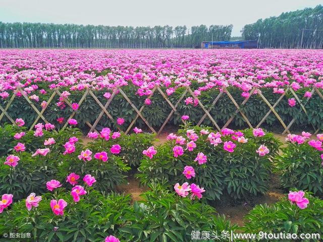 心理测试：你最喜欢哪处美景，测出你的一生是坎坷还是顺遂