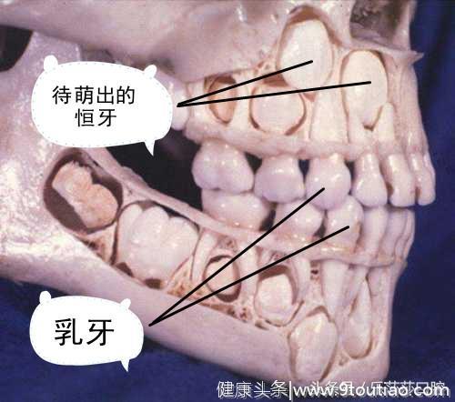 做了半辈子牙医可能都没见过的牙齿情况！