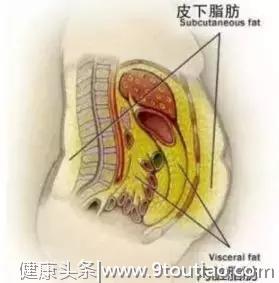 肥肉长在身体这位置，伤心伤脑伤全身！瘦子也中招，快看有你没？