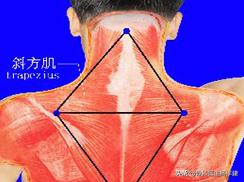“脖子痛”就是“颈椎病”吗？骨科专家教你来辨别