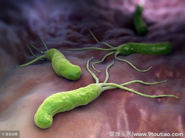 幽门螺杆菌是胃癌的真凶，如何预防感染？医生告诉你大实话