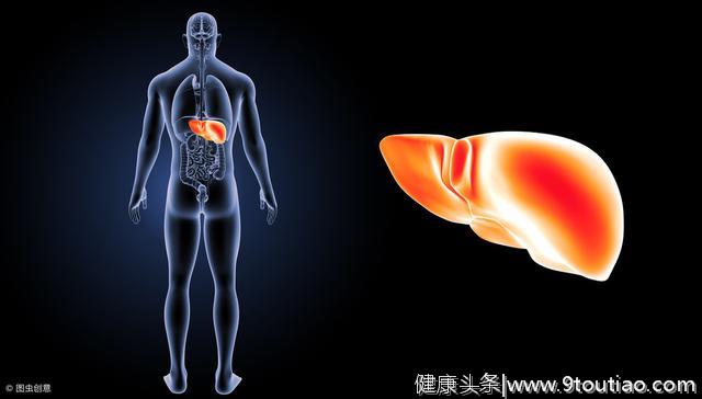 得了脂肪肝该怎么办？健康管理师给出6点建议，不妨跟着做