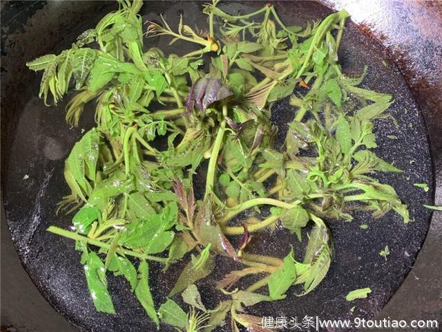 这菜50一斤，比牛肉都贵，多给孩子吃，体质会更好，识货的抢着买