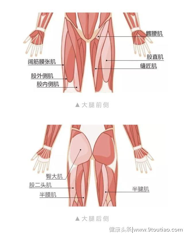 深蹲怕腿粗，可换成这个动作虐臀！