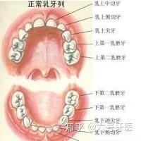 你家宝宝的牙齿还好吗？