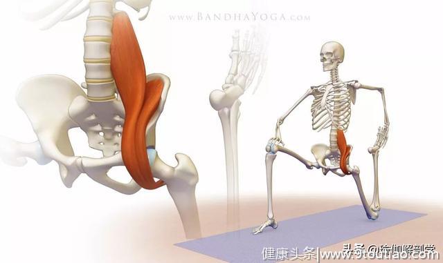 瑜伽老师解决腰痛问题，为什么一定要处理髂腰肌？