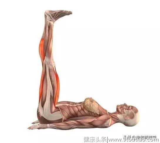 练瑜伽，不要忽视了重要的髂腰肌！