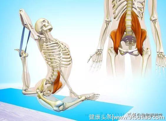 练瑜伽，不要忽视了重要的髂腰肌！