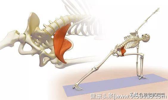 瑜伽老师解决腰痛问题，为什么一定要处理髂腰肌？