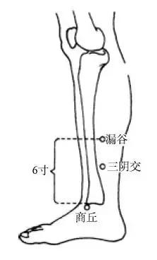 敷脐、药枕、拔罐，外治养肾安全又有效！