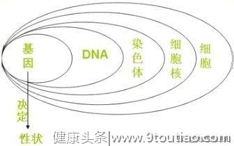 医生，白血病就是红血变白了吗，白血病为什么越来越多了···