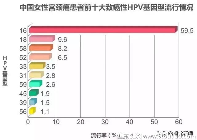 九价宫颈癌疫苗来湖北了 这样预约