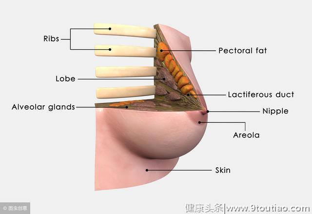 乳腺增生，8位名老中医的治疗验方