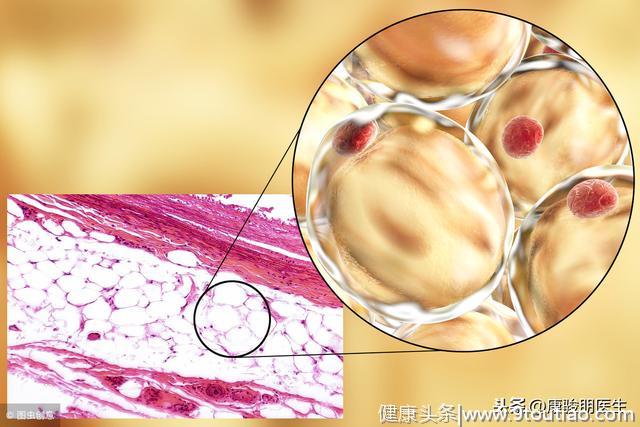 天然"减脂"，不是山楂不是荷叶，减肥健脾，小肚子都没了