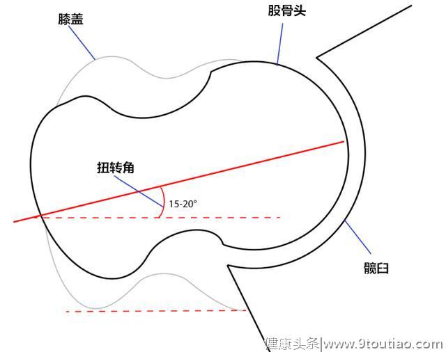 干货│如何正确找到完美的深蹲站距？