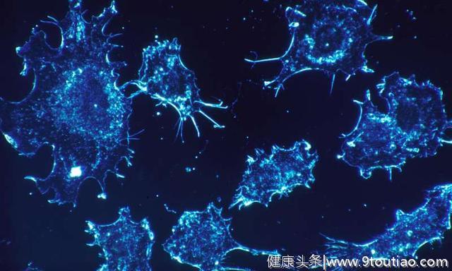 科学家们主要研究用于新型癌症治疗的microRNA加工