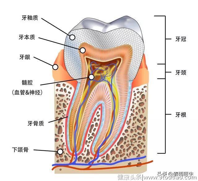 牙齿太黄不敢张嘴？过来选一个牙齿美白方法再走吧