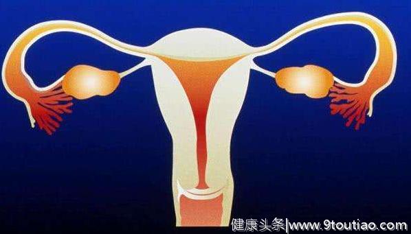 子宫切除对卵巢功能有哪些影响？