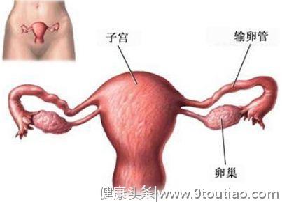 子宫切除对卵巢功能有哪些影响？