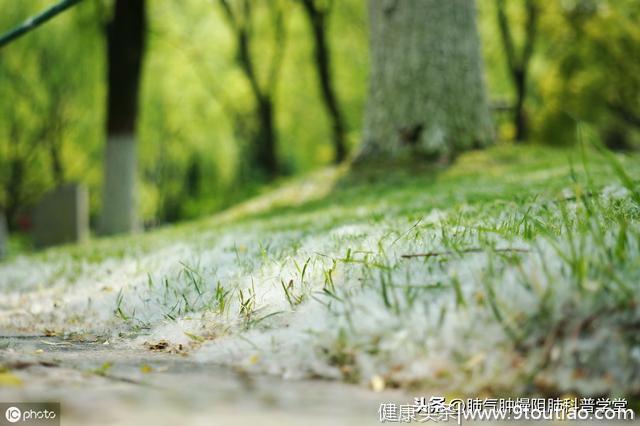 夏季快要来临，需要警惕容易导致哮喘频发的因素！柳絮、空调冷饮