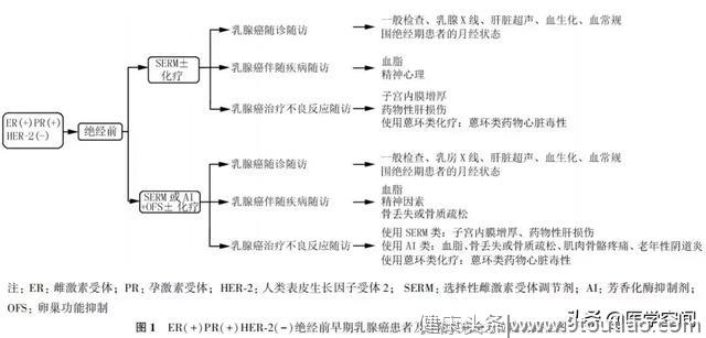 【指南与规范】乳腺癌随访及伴随疾病全方位管理指南