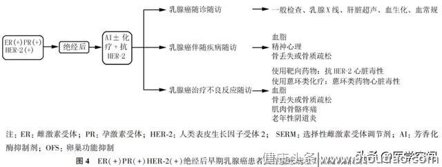 【指南与规范】乳腺癌随访及伴随疾病全方位管理指南