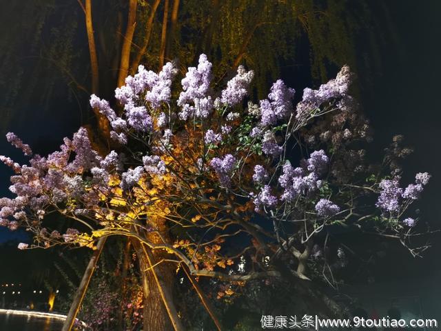 口服大肠杆菌治疗肝病 微生物组疗法完成首例给药