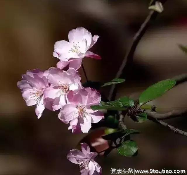 书法被中医学认定为养生之首，不同书体具有不同的养生功效！