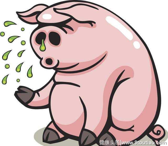 猪流行性感冒与猪伤风感冒如何区别，治疗方法有什么不同