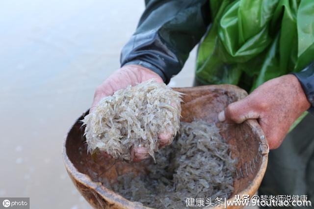 虾皮含钙高，却不补钙？儿童、孕妇、心脑血管疾病的人补钙须留心