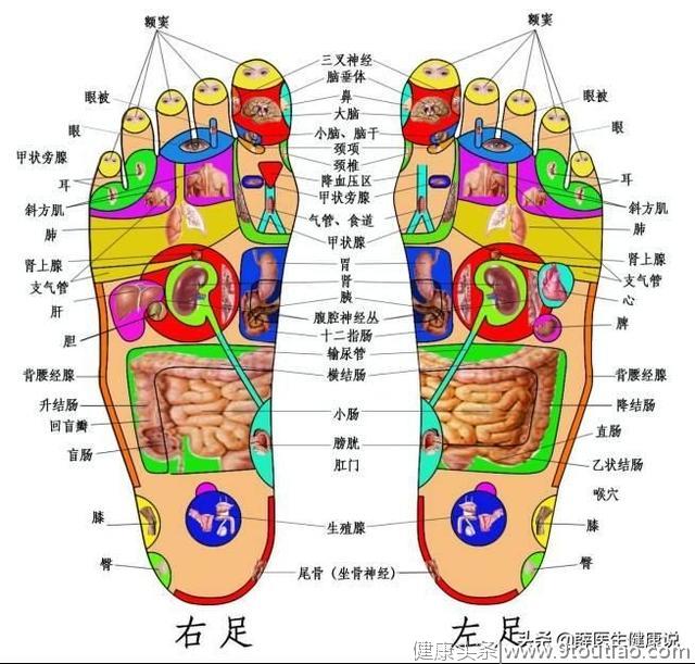 薛医生：足底按摩也可以调理颈椎病